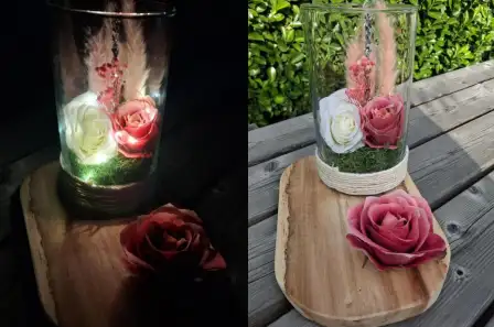 Les roses éternelle
