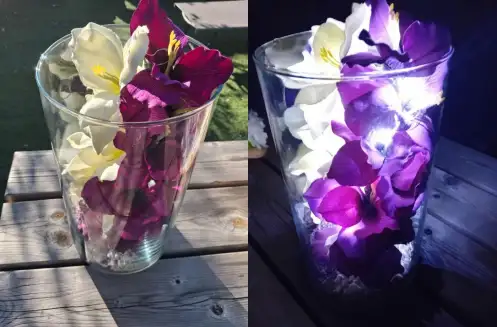 Songe violet