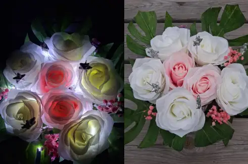Étoiles de Roses